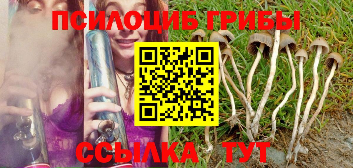 Северобайкальск  Галлюциногенные грибы GOLDEN TEACHER  продажа наркотиков  Вход с VPN  Галлюциногенные грибы мухоморы 
